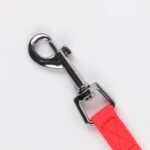 LED Dog Leash - Image 5