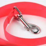 LED Dog Leash - Image 3