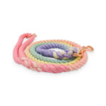 Rainbow Dog Leash - Image 2