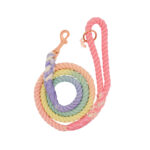 Rainbow Dog Leash - Image 3