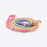 Rainbow Dog Leash