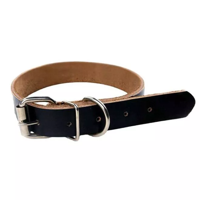 28787-fee5e4.webp Luxurious Rolled Leather Dog Collar with Metal Accents - Image 1