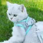 Dog Vest Type Harness for Dogs and Cats - Image 4