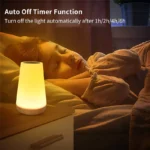 13-Color Changing Night Light with RGB Remote Control - Image 5
