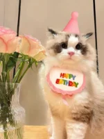 Colorful Pet Birthday Bandana & Party Hat Set for Cats and Dogs - Image 2