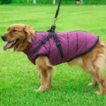 Waterproof Winter Warm Dog Jacket with Integrated Harness for Large Dogs - Image 5