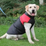 Ultimate Comfort Waterproof Dog Winter Jacket - Image 2