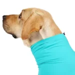 Comfort-Fit Pet Pajamas - Image 5