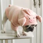 Pig Head Hoodie Jumpsuit for Dogs - Adorable Plush Costume for French Bulldogs, Teddy & More - Image 2