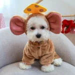 Adorable Pet Hoodie - Image 2