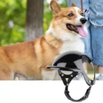 Adjustable Pet Helmet for Dogs - Image 4