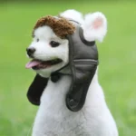 Winter Warm Pilot Hat for Pets - Image 5