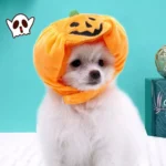 Corduroy Pumpkin Halloween Hat for Cats & Dogs - Image 5